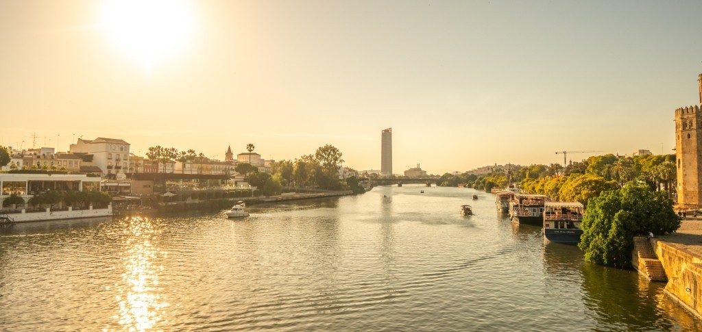 1780991455_elf-sevilla-486.jpg